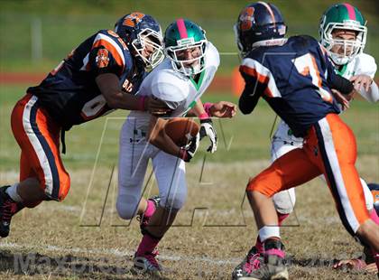 Thumbnail 1 in Irvington @ Briarcliff photogallery.