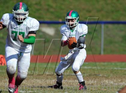 Thumbnail 1 in Irvington @ Briarcliff photogallery.