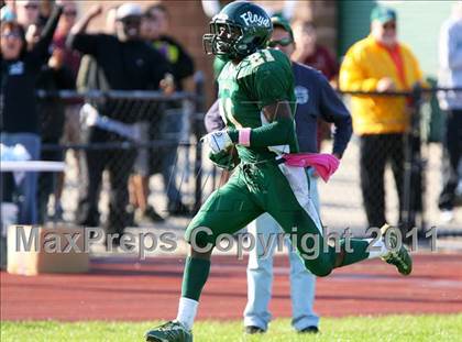 Thumbnail 2 in Sachem North @ William Floyd photogallery.