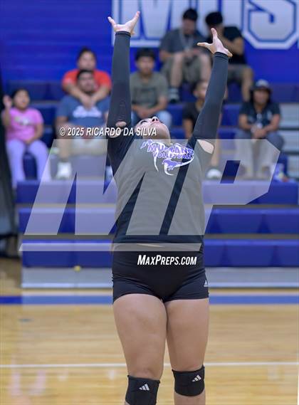 Thumbnail 1 in Nimitz @ Aldine photogallery.