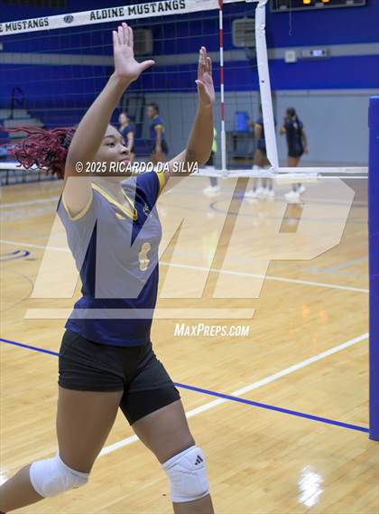 Thumbnail 3 in Nimitz @ Aldine photogallery.