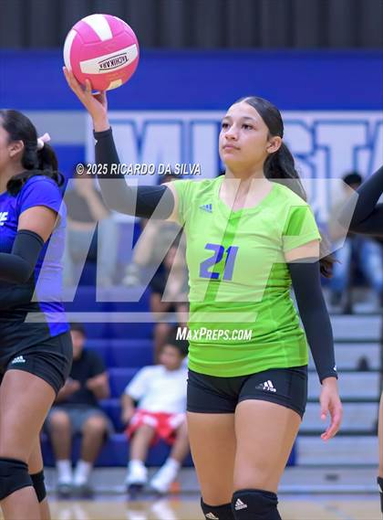 Thumbnail 2 in Nimitz @ Aldine photogallery.