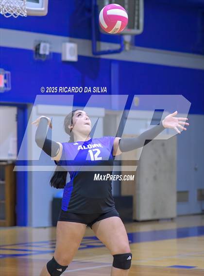 Thumbnail 1 in Nimitz @ Aldine photogallery.