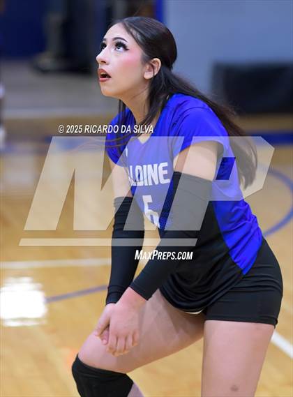 Thumbnail 2 in Nimitz @ Aldine photogallery.