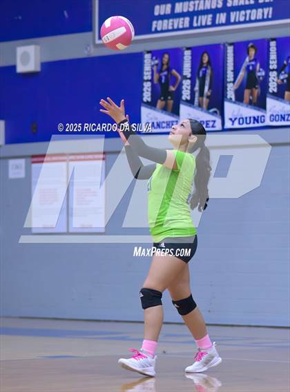 Thumbnail 2 in Nimitz @ Aldine photogallery.