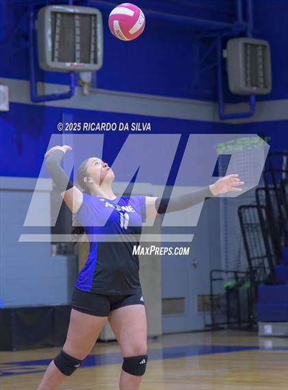 Thumbnail 1 in Nimitz @ Aldine photogallery.