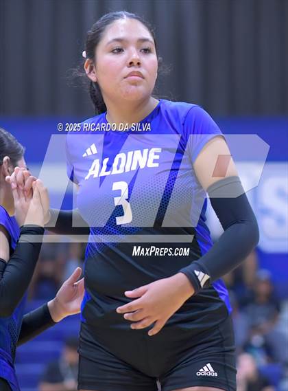 Thumbnail 1 in Nimitz @ Aldine photogallery.