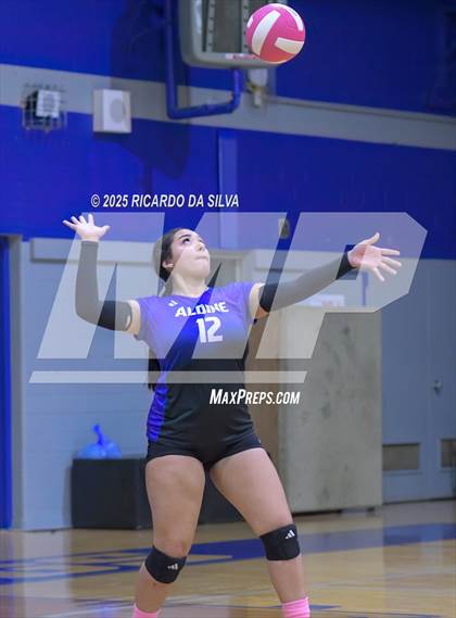 Thumbnail 1 in Nimitz @ Aldine photogallery.