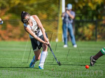 Thumbnail 3 in Thomaston @ Joel Barlow photogallery.