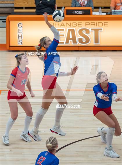 Thumbnail 3 in Roncalli vs. Jennings County (IHSAA 3A Semi-state semifinal) photogallery.