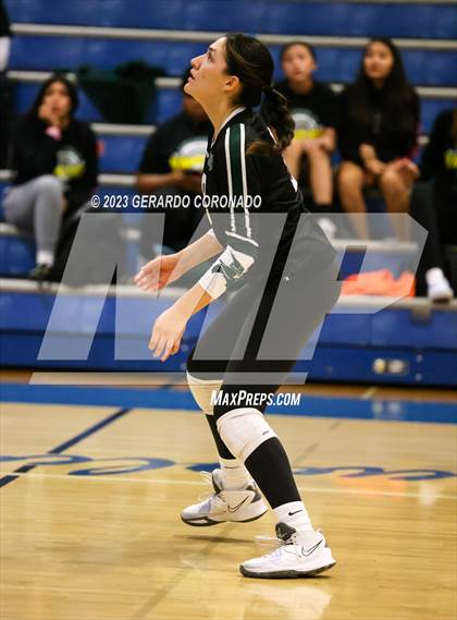 Thumbnail 3 in Vanden @ Sierra (CIF SJS Division 3 Round 1) photogallery.
