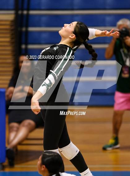 Thumbnail 3 in Vanden @ Sierra (CIF SJS Division 3 Round 1) photogallery.