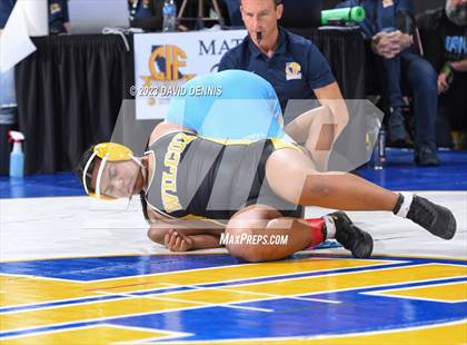 Thumbnail 2 in CIF State Wrestling Championships Girls (Round One) photogallery.