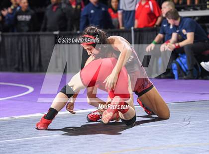 Thumbnail 1 in CIF State Wrestling Championships Girls (Round One) photogallery.