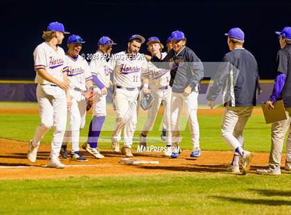Thumbnail 1 in Spoto @ Lennard photogallery.