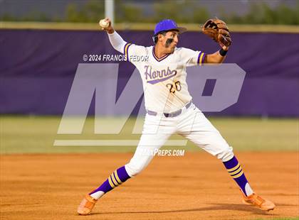 Thumbnail 1 in Spoto @ Lennard photogallery.
