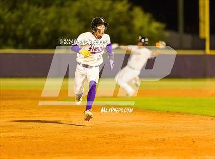 Thumbnail 3 in Spoto @ Lennard photogallery.