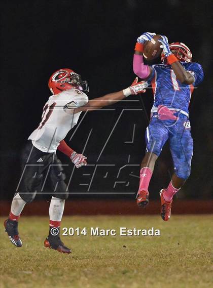Thumbnail 1 in Carrollwood Day @ Northside Christian photogallery.