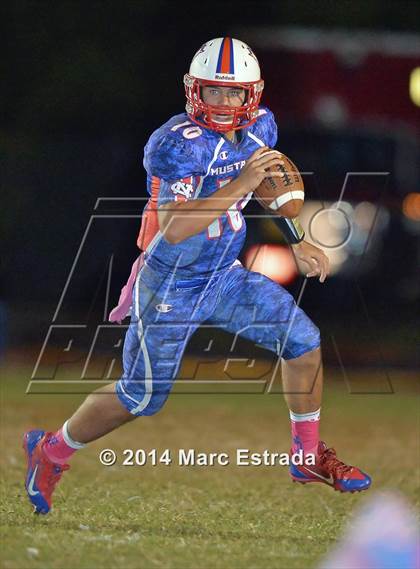 Thumbnail 3 in Carrollwood Day @ Northside Christian photogallery.