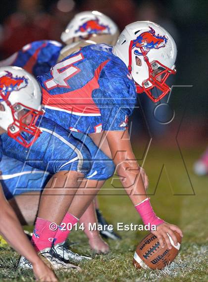 Thumbnail 3 in Carrollwood Day @ Northside Christian photogallery.