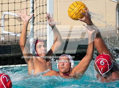 Thumbnail 3 in Segerstrom @ Santa Ana photogallery.