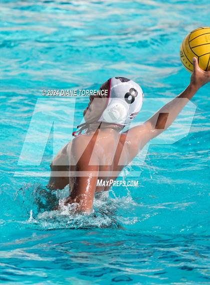 Thumbnail 1 in Segerstrom @ Santa Ana photogallery.