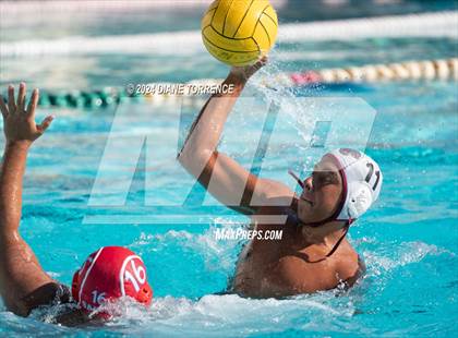 Thumbnail 2 in Segerstrom @ Santa Ana photogallery.