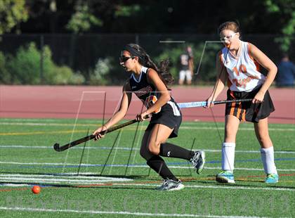 Thumbnail 3 in Mamaroneck @ White Plains photogallery.