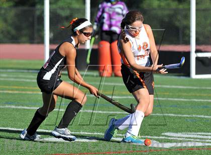 Thumbnail 2 in Mamaroneck @ White Plains photogallery.