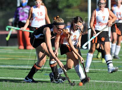 Thumbnail 3 in Mamaroneck @ White Plains photogallery.