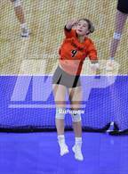 Photo from the gallery "Palmer Ridge vs. Lewis-Palmer (CHSAA 4A 3rd Round)"