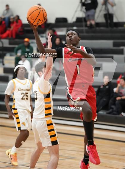 Thumbnail 1 in Center Hill @ Hernando photogallery.