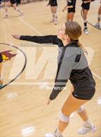 Photo from the gallery "Desert Mountain vs. Cienega"