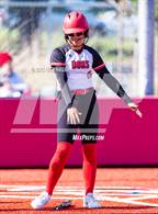 Photo from the gallery "Aragon @ Mills"