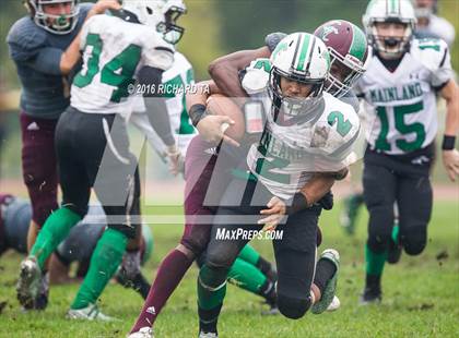 Thumbnail 1 in Mainland Regional @ Cedar Creek photogallery.
