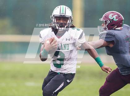Thumbnail 2 in Mainland Regional @ Cedar Creek photogallery.