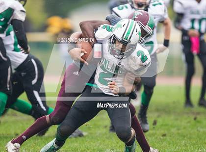 Thumbnail 2 in Mainland Regional @ Cedar Creek photogallery.