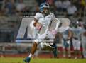Photo from the gallery "Cactus @ Basha"
