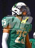 Photo from the gallery "Cactus @ Basha"