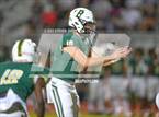 Photo from the gallery "Cactus @ Basha"