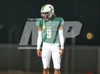 Photo from the gallery "Cactus @ Basha"
