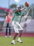 Photo from the gallery "Cactus @ Basha"