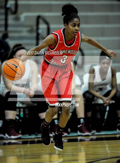 Thumbnail 1 in Riverdale vs. Homewood-Flossmoor (NIKE Tournament of Champions) photogallery.