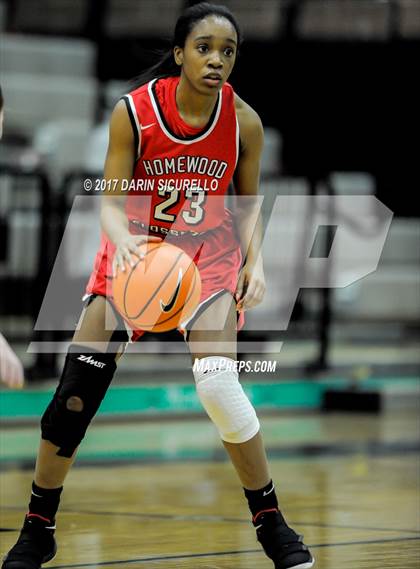 Thumbnail 1 in Riverdale vs. Homewood-Flossmoor (NIKE Tournament of Champions) photogallery.