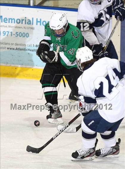 Thumbnail 1 in Kinnelon @ Randolph photogallery.