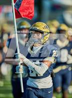 Photo from the gallery "Klein @ Klein Collins"