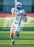 Photo from the gallery "Klein @ Klein Collins"