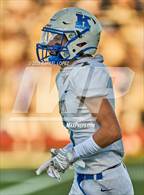 Photo from the gallery "Klein @ Klein Collins"