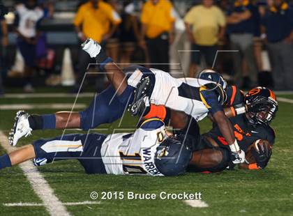 Thumbnail 3 in Pine Tree @ Gilmer photogallery.