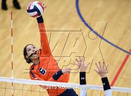 Thumbnail 1 in Wakeland vs. Prosper photogallery.